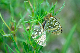 image0358