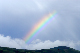 image0361