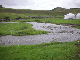 image0365