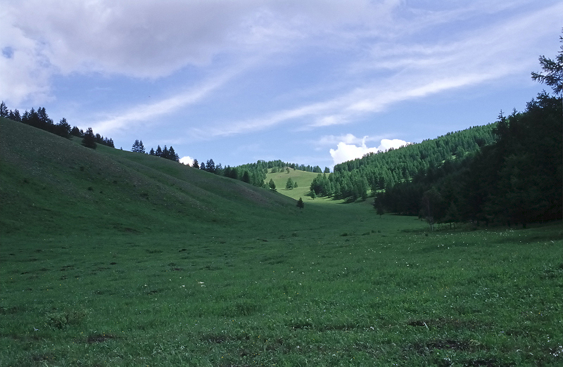 image0039