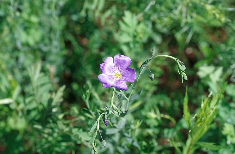 image0068