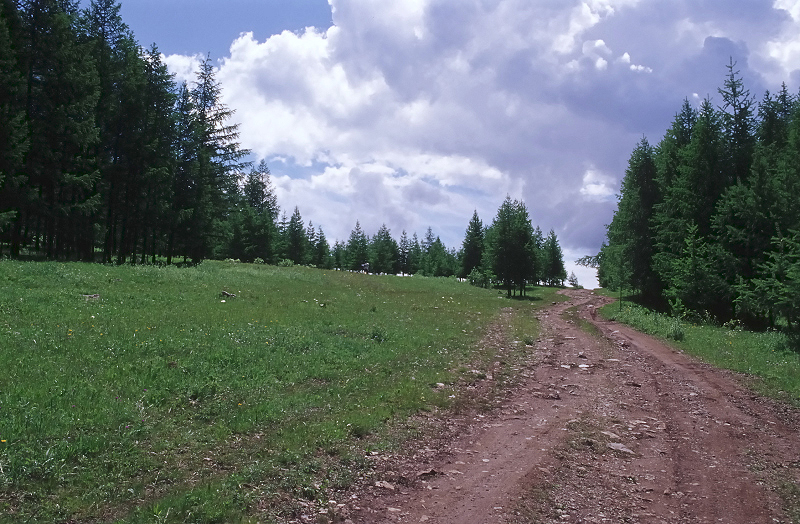image0069