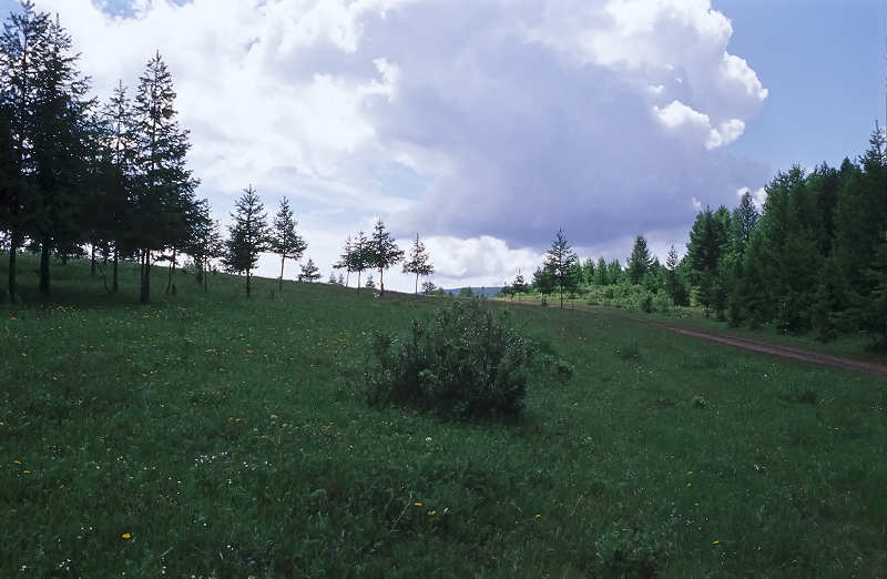 image0071