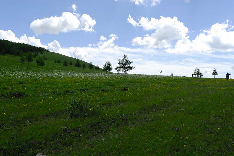 image0082