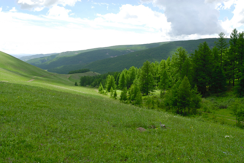 image0094