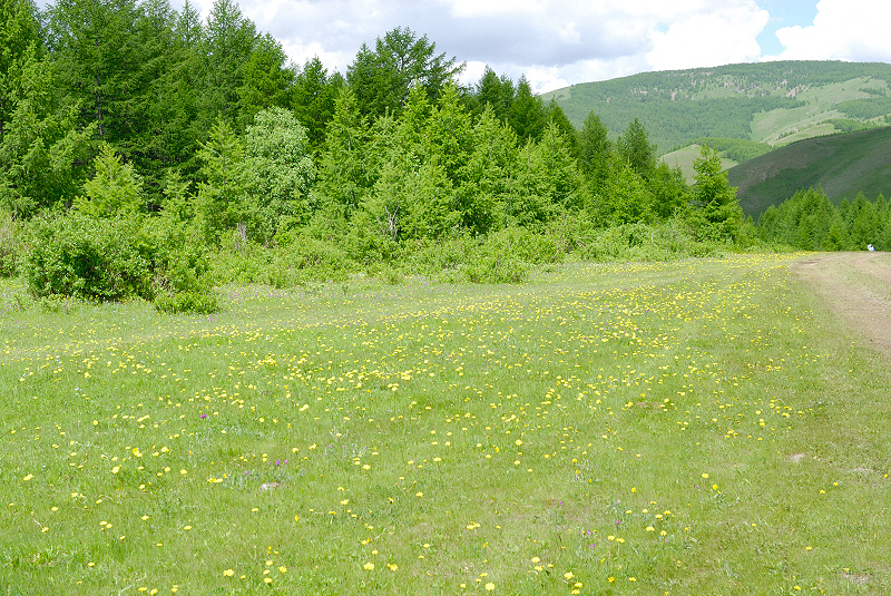 image0096