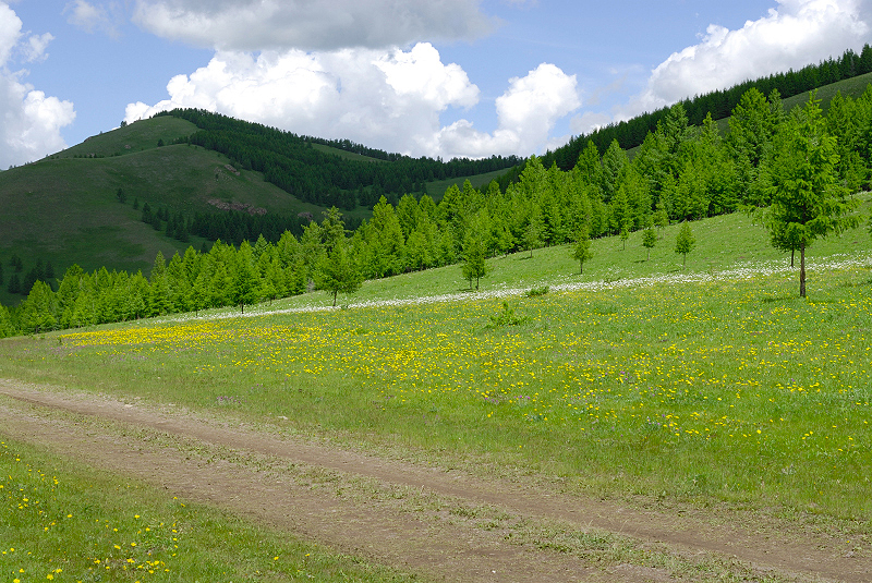 image0097