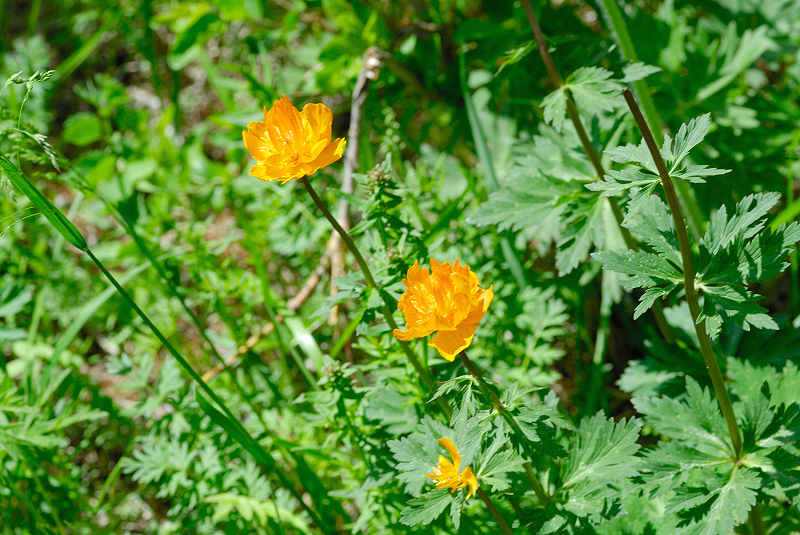 image0103