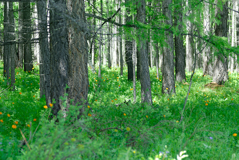 image0104