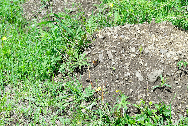 image0105