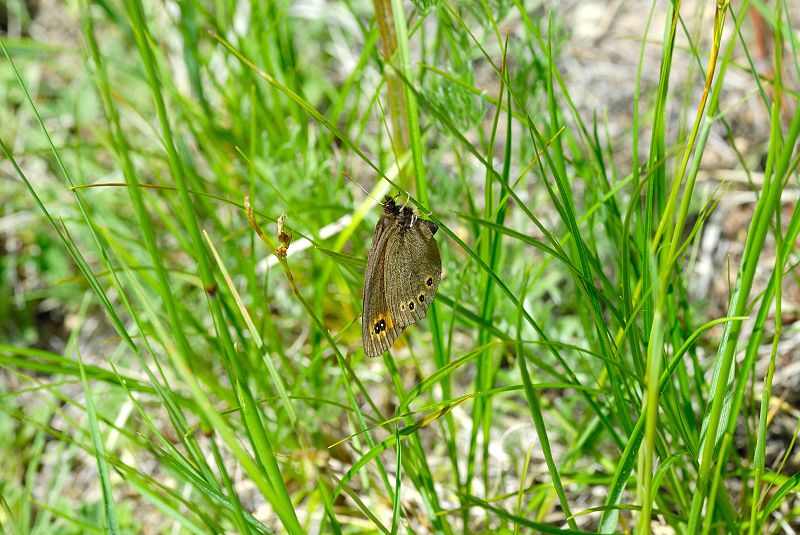image0129