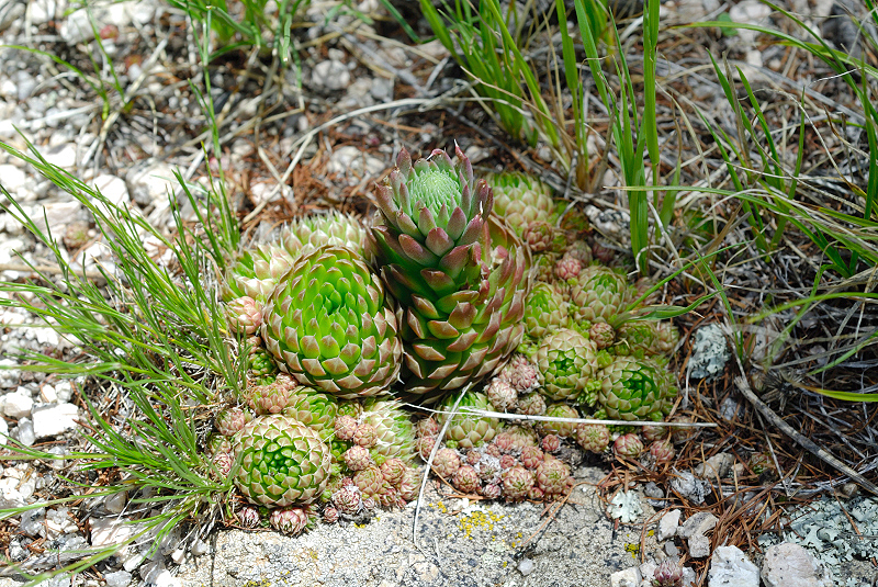 image0148