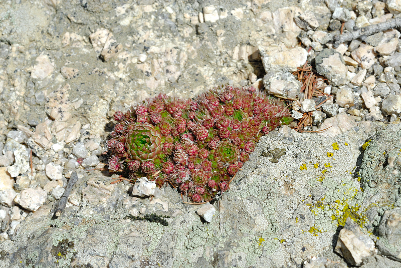 image0149