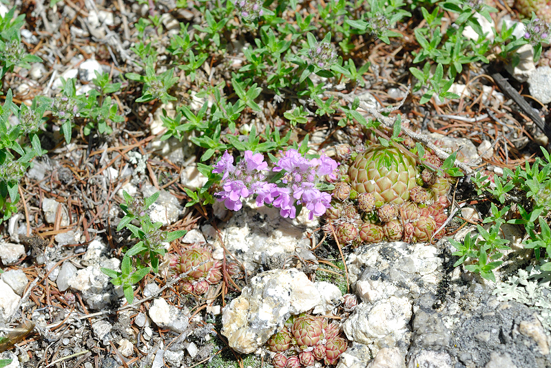 image0151