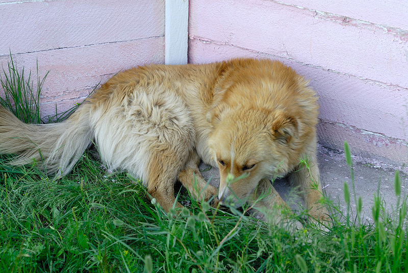image0153