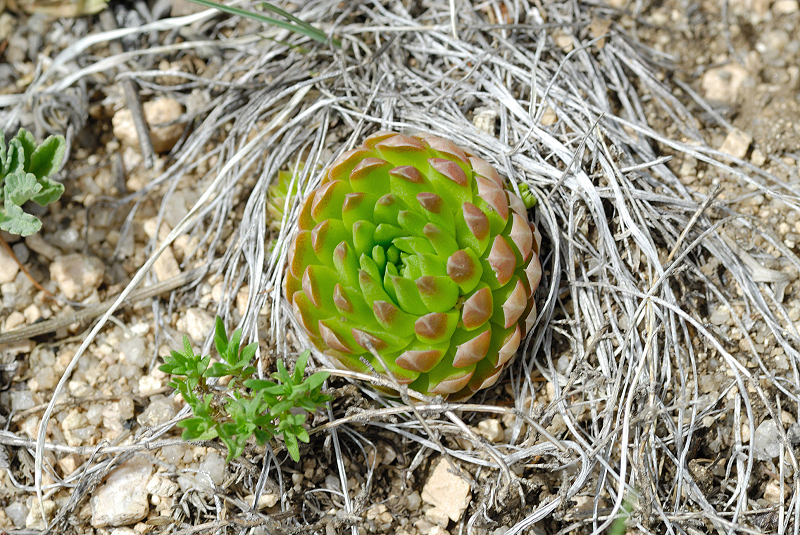 image0161