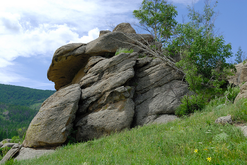 image0163