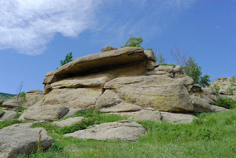 image0165