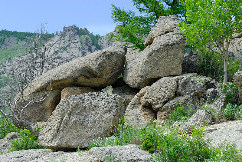 image0171
