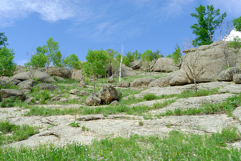 image0172