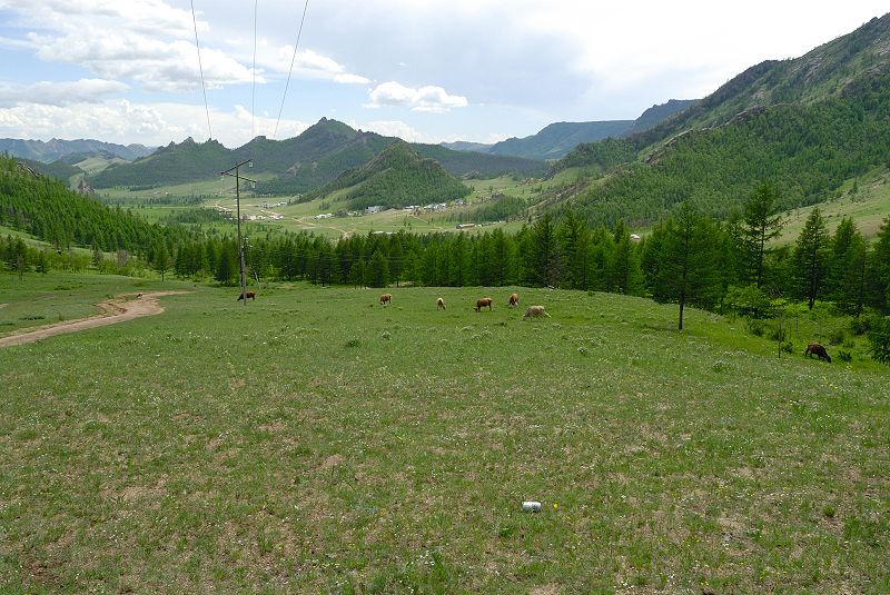 image0184