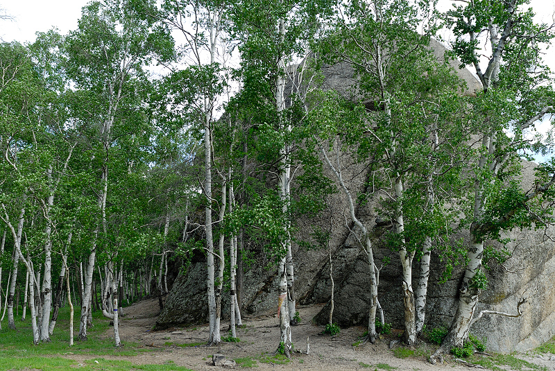 image0188