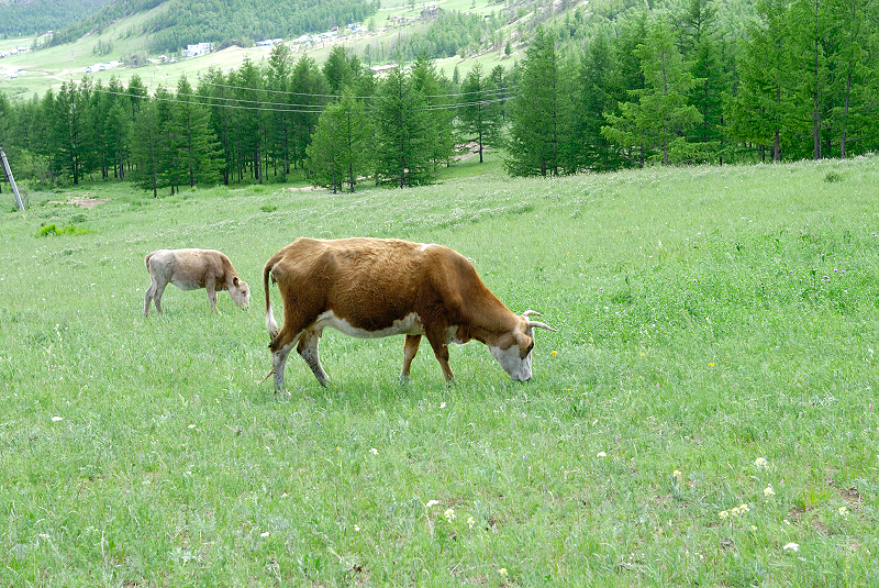 image0197