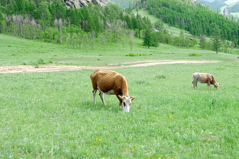 image0198