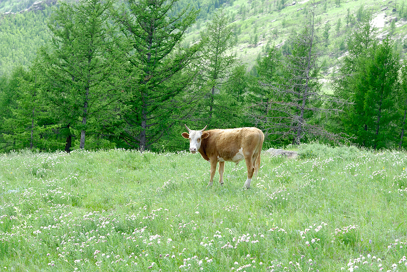 image0199
