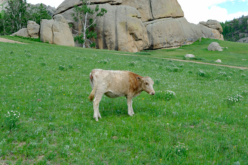 image0200
