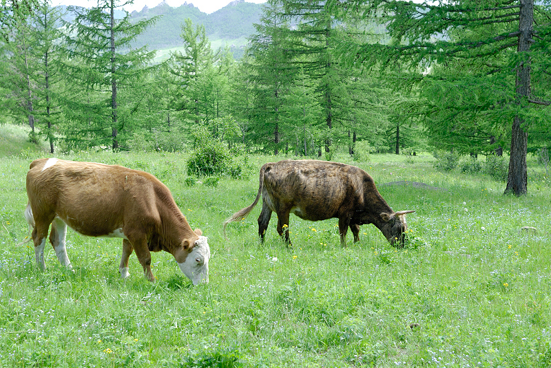 image0201