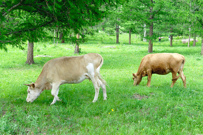 image0202