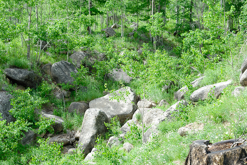 image0203