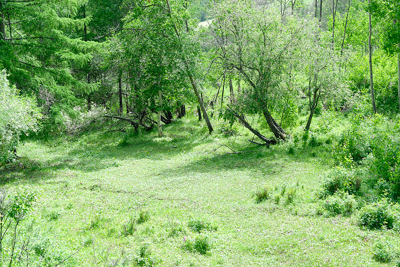 image0204
