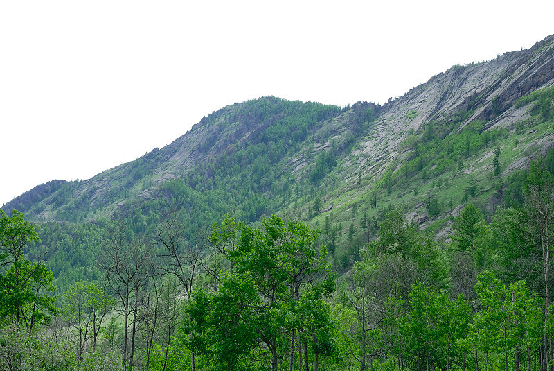 image0205