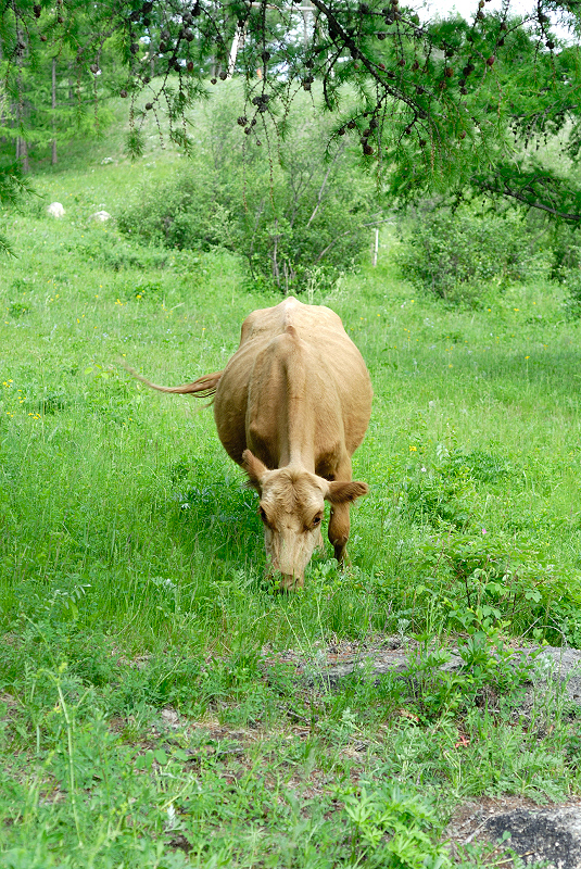 image0206