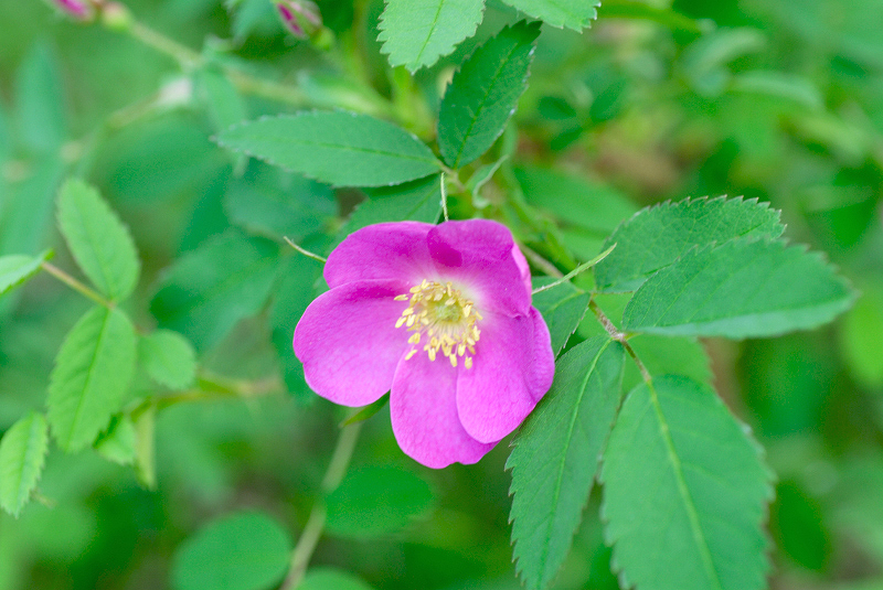 image0210