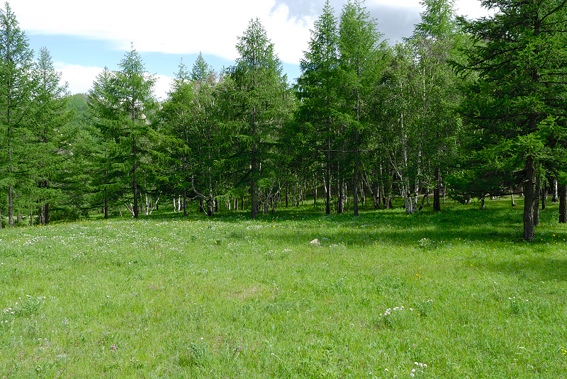 image0213