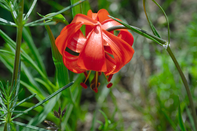 image0216