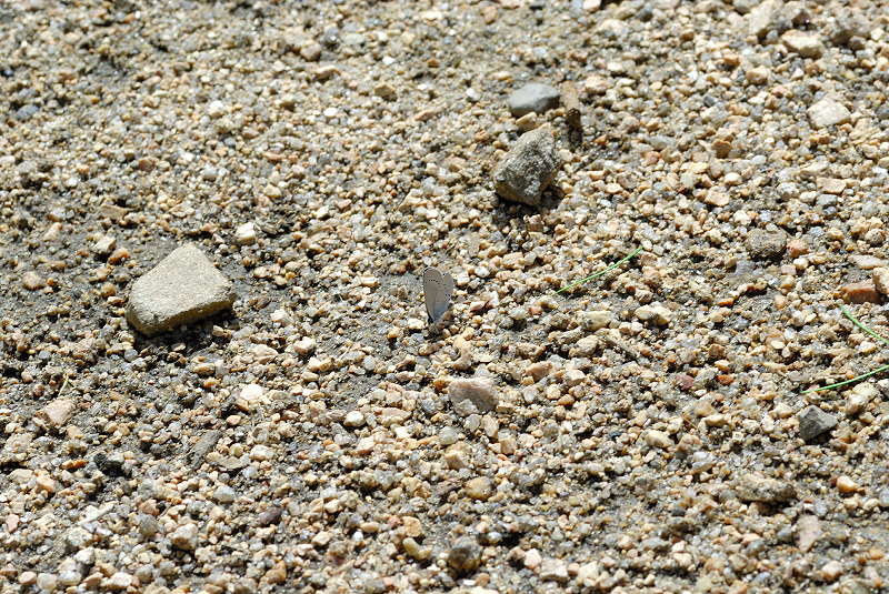 image0218