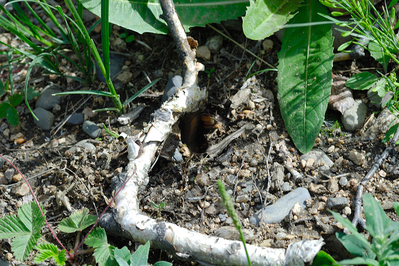 image0219