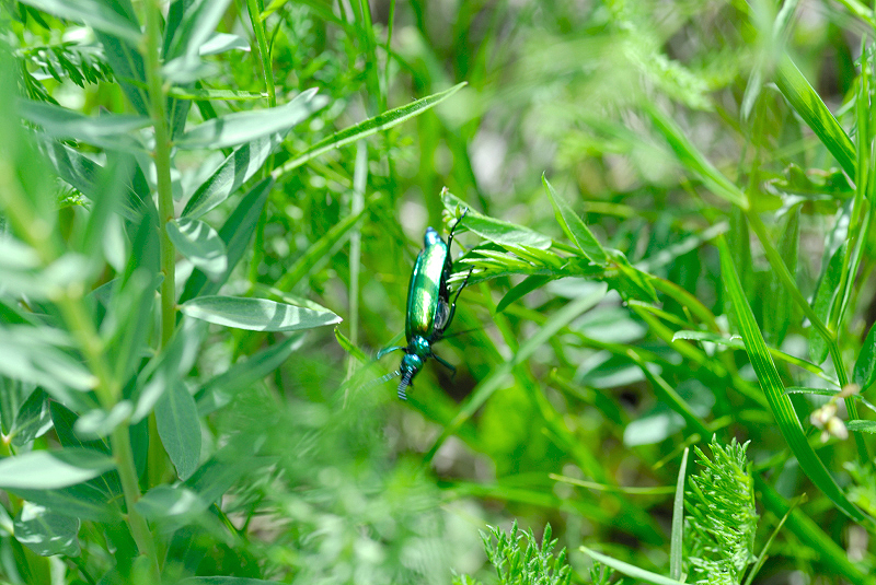 image0220