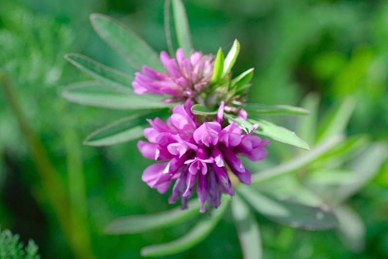 image0221