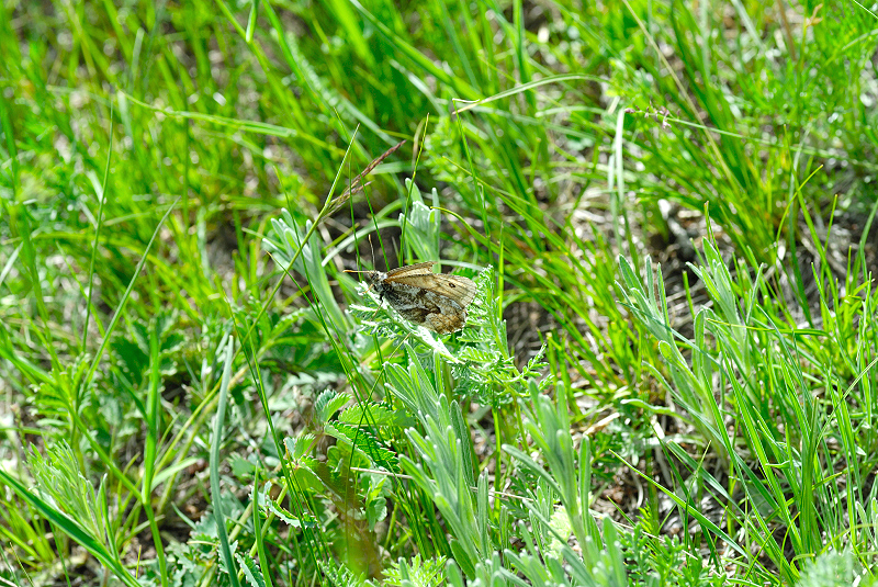 image0222
