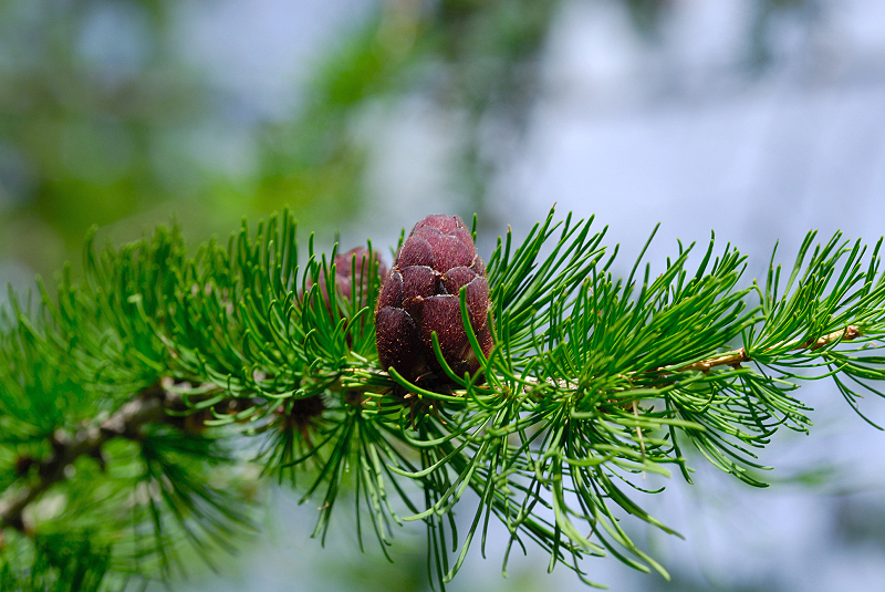 image0223