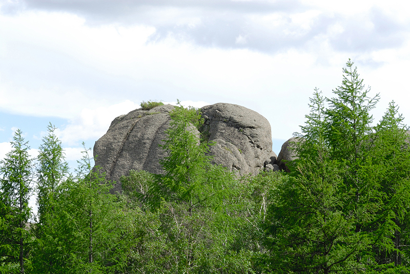 image0227