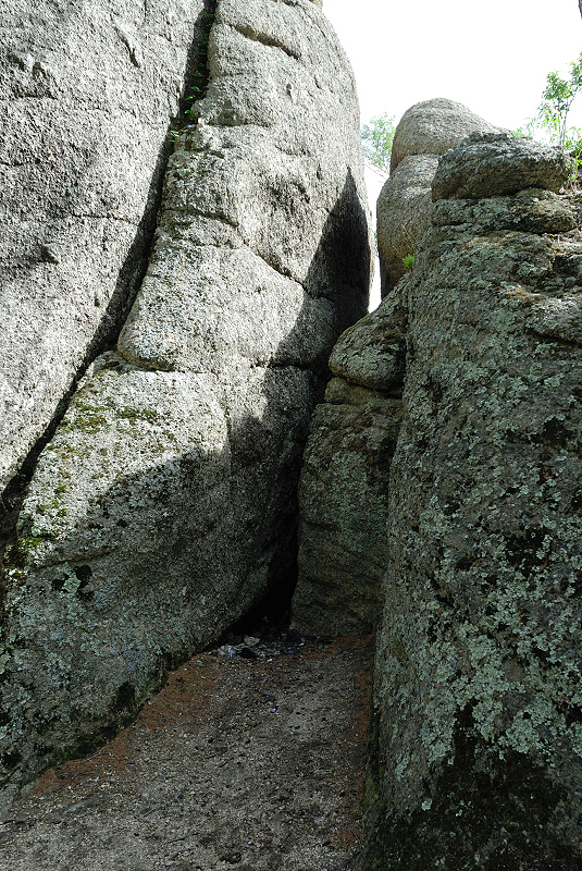 image0229