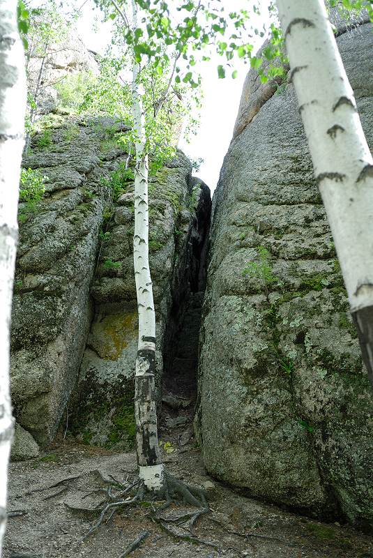 image0230