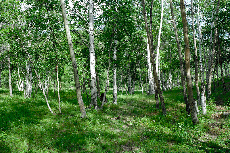 image0231