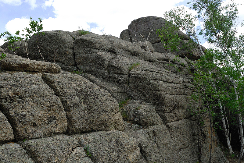image0236